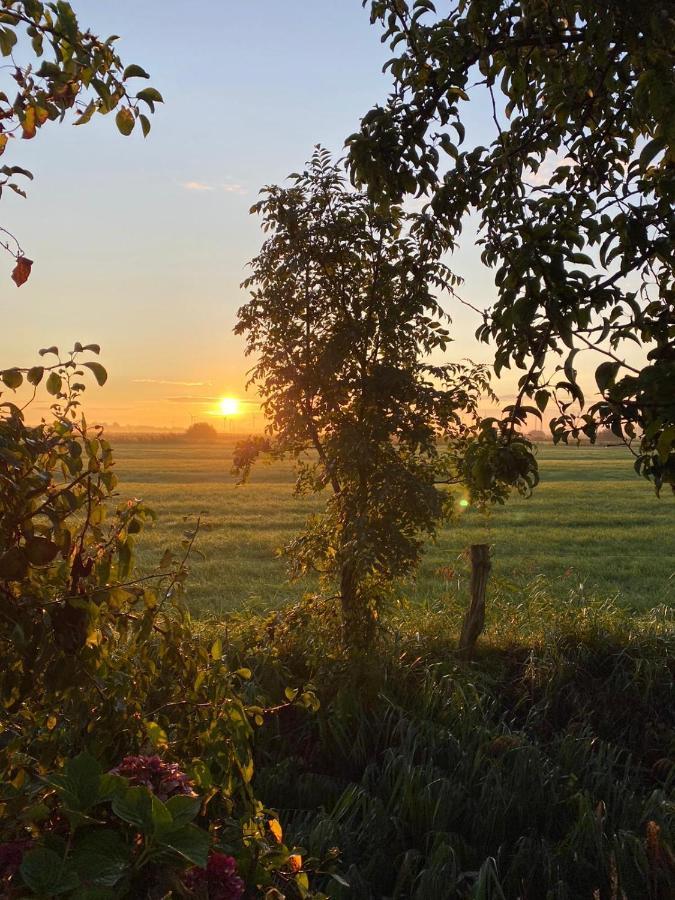 Hps Koje Daire Dornum Dış mekan fotoğraf